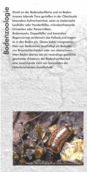 Fachbereich Bodenzoologie