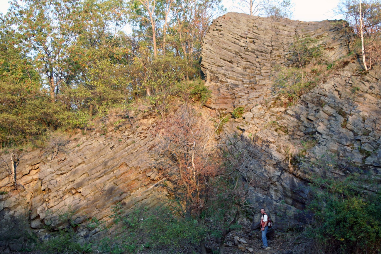 Ein Exkursionsziel ist das Naturdenkmal Perkuna bei Leśna/Marklissa, ein Basaltfelsen mit ungewöhnlicher Säulenbildung (Foto: O. Tietz, Görlitz)